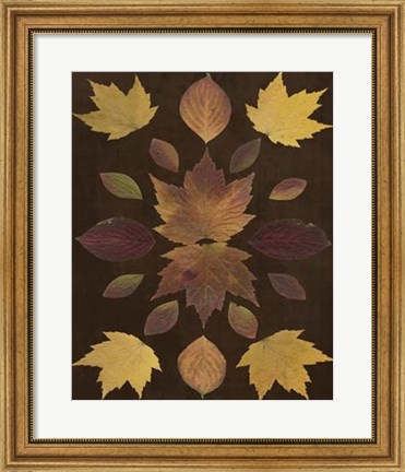 Framed Kaleidoscope Leaves VI Print