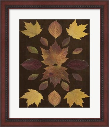 Framed Kaleidoscope Leaves VI Print
