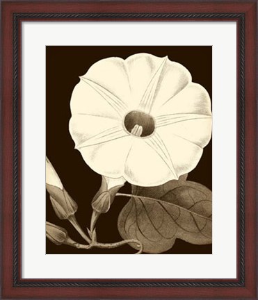 Framed Glorious Blooms I Print