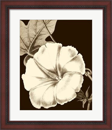 Framed Glorious Blooms II Print