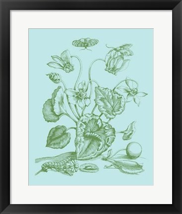 Framed Spring Cyclamen I Print