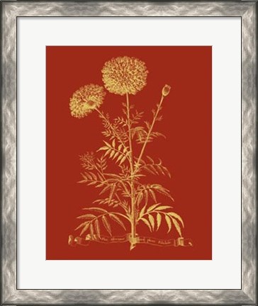 Framed Paprika Bouquet I Print