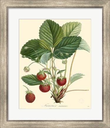 Framed Strawberries Print