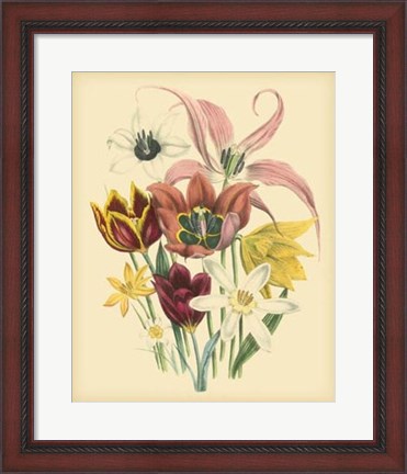 Framed Garden Bouquet IV Print