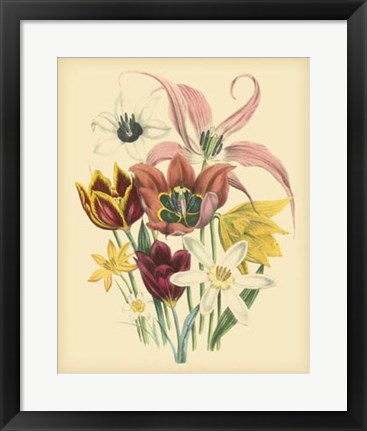 Framed Garden Bouquet IV Print