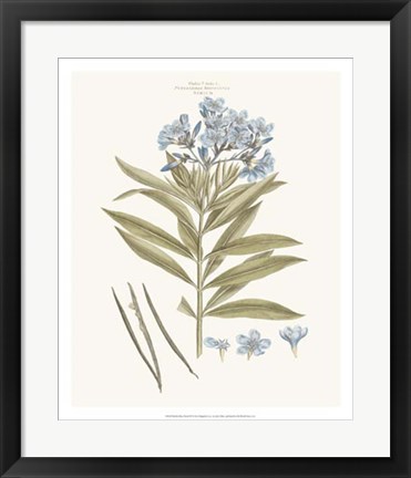 Framed Bashful Blue Florals III Print