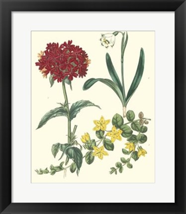 Framed Gardener&#39;s Delight VIII Print