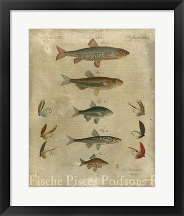 Framed Pisces Composition I Print