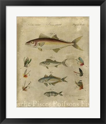 Framed Pisces Composition II Print