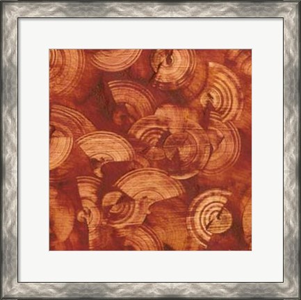 Framed Nautilus in Rust II Print