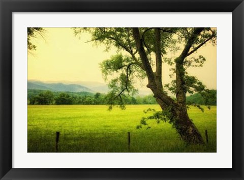 Framed Morning at the Cove I Print