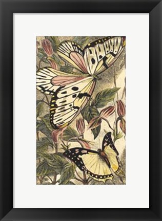 Framed Dancing Butterfly II Print