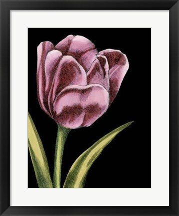Framed Vibrant Tulips III Print