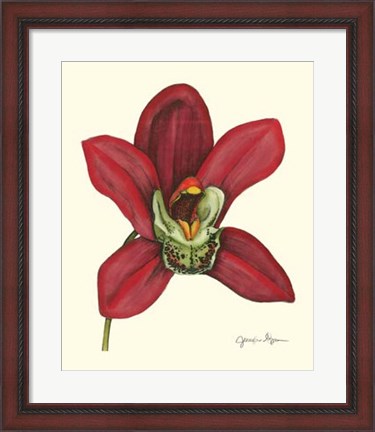 Framed Majestic Orchid III Print