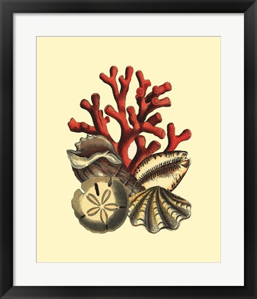 Framed Coral Medley II Print