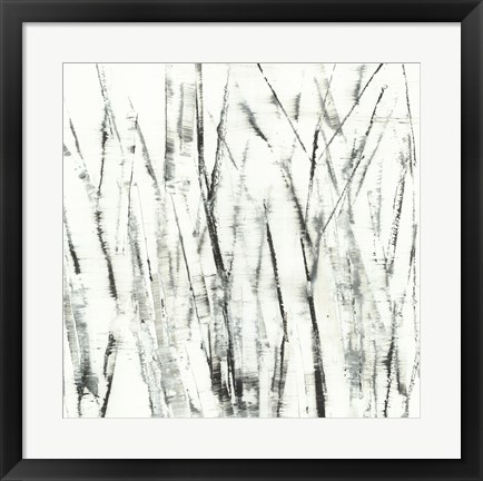 Framed Birches I Print