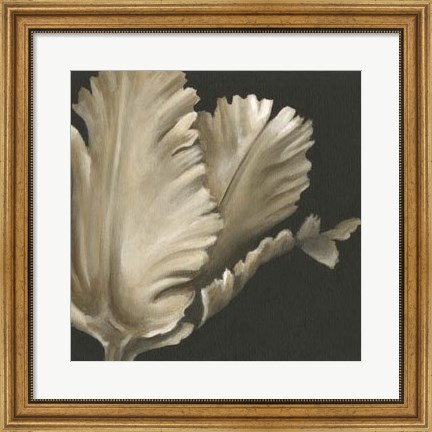 Framed Classical Blooms I Print