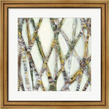 Framed Lemongrass II Print
