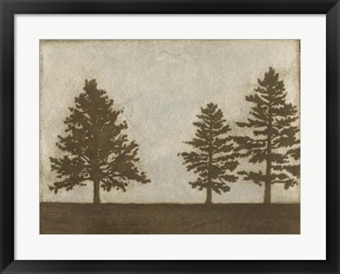 Framed Silver Pine I Print