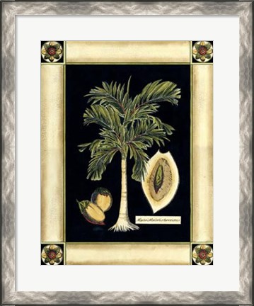 Framed Paradise Palm V Print