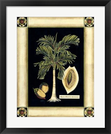Framed Paradise Palm V Print