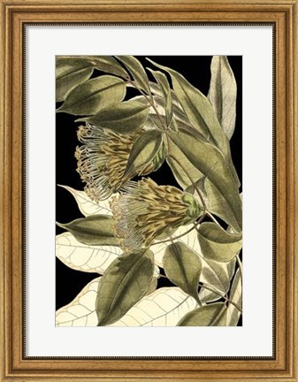 Framed Tranquil Tropical Leaves VI Print