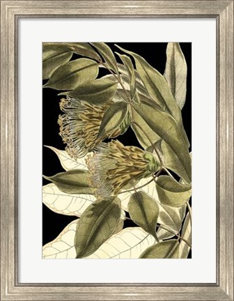 Framed Tranquil Tropical Leaves VI Print