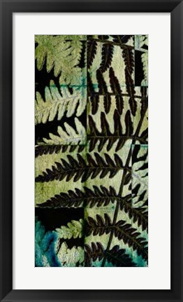 Framed Midnight Ferns II Print