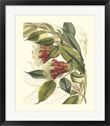 Framed Fantastical Botanical II Print