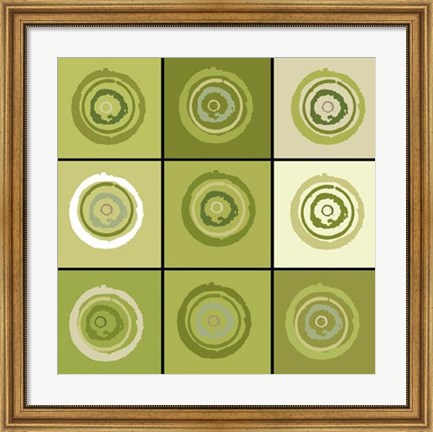 Framed Concentric Sage Print