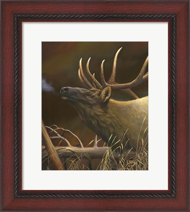Framed Elk Portrait I Print