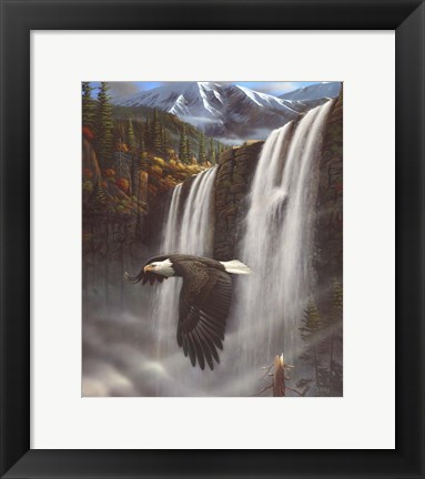 Framed Eagle Portrait Print