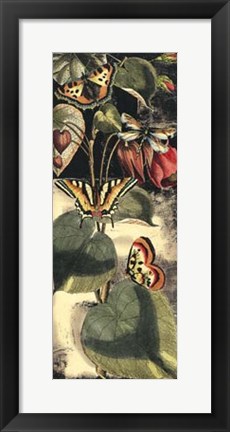 Framed Nature&#39;s Delight II Print