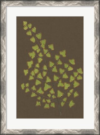 Framed Ferns on Linen III Print