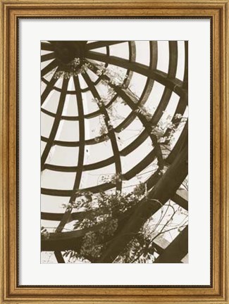Framed Pergola Basket Print