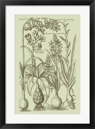 Framed Garden of Flora I Print