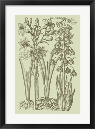 Framed Garden of Flora II Print