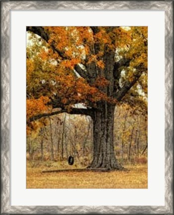 Framed Tree Swing Print