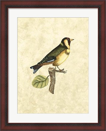 Framed Birds I Print