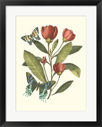Framed Midsummer Floral II Print