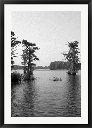 Framed Riverscape II Print
