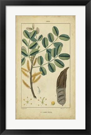 Framed Vintage Turpin Botanical VII Print
