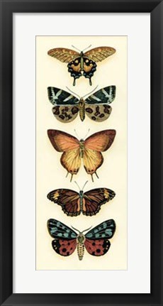 Framed Butterfly Collector V Print