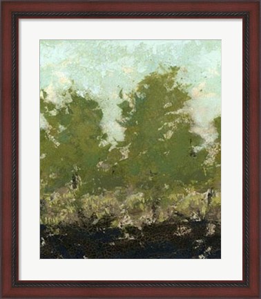 Framed Meadow Abstract II Print