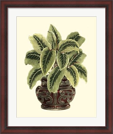 Framed Lush Foliage in Urn I Print