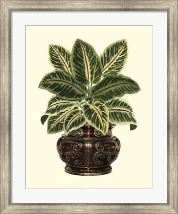 Framed Lush Foliage in Urn II Print