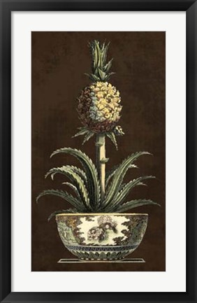 Framed Potted Pineapple II Print