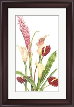 Framed Tropical Bouquet I Print