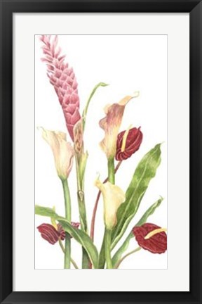 Framed Tropical Bouquet I Print