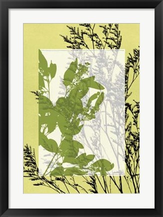 Framed Translucent Wildflowers III Print